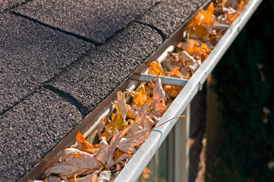Roof and Gutter Repair