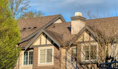 Roof repair and inspection services